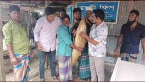 কুয়াকাটায় জেলের জালে ধরা পরলো ১৪ কেজির পোয়া মাছ