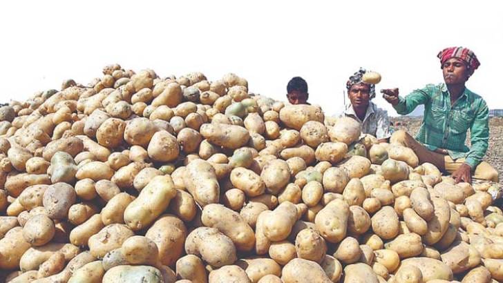 ভারত থেকে বিপুল পরিমাণ আলু আমদানি