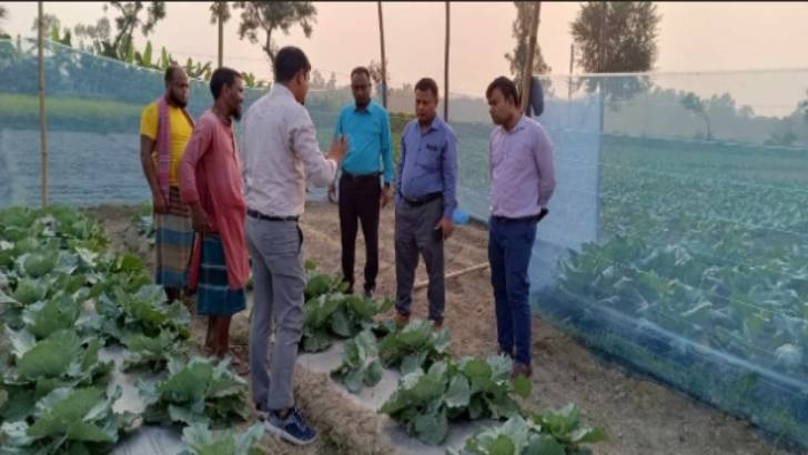 শিবগঞ্জ উপজেলার কৃষকরা ব্যস্ত সময় পার করছে সবজি চাষে