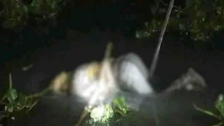 ভোলায় হাত-পা বাঁধা যুবকের মরদেহ উদ্ধার