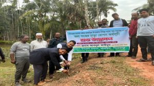 মঠবাড়িয়ায় সড়কের পাশে তাল গাছের চারা রোপণ কর্মসূচির উদ্বোধন 