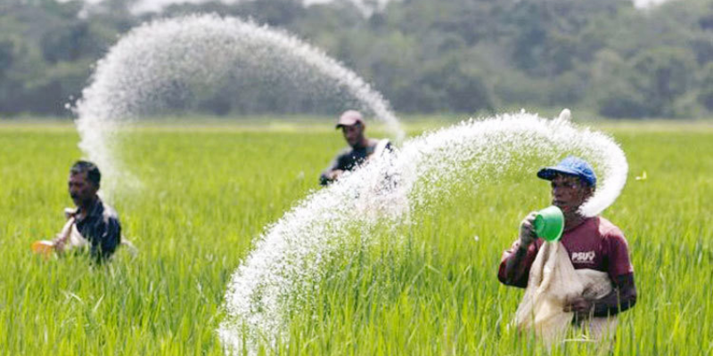 ভারত নয়,মধ্যপ্রাচ্যে থেকে ৩৩৯ কোটি টাকার সার কিনবে সরকার