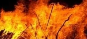 শিবগঞ্জে আগুনে পুড়ে গরু ও গোয়ালঘর সহ চার লক্ষাধিক টাকার ক্ষয়ক্ষতি