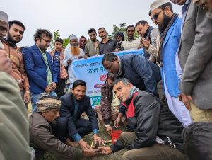 মঠবাড়িয়ায় রাস্তার দুই পাশে তালের চারা রোপন করলেন ইউএনও