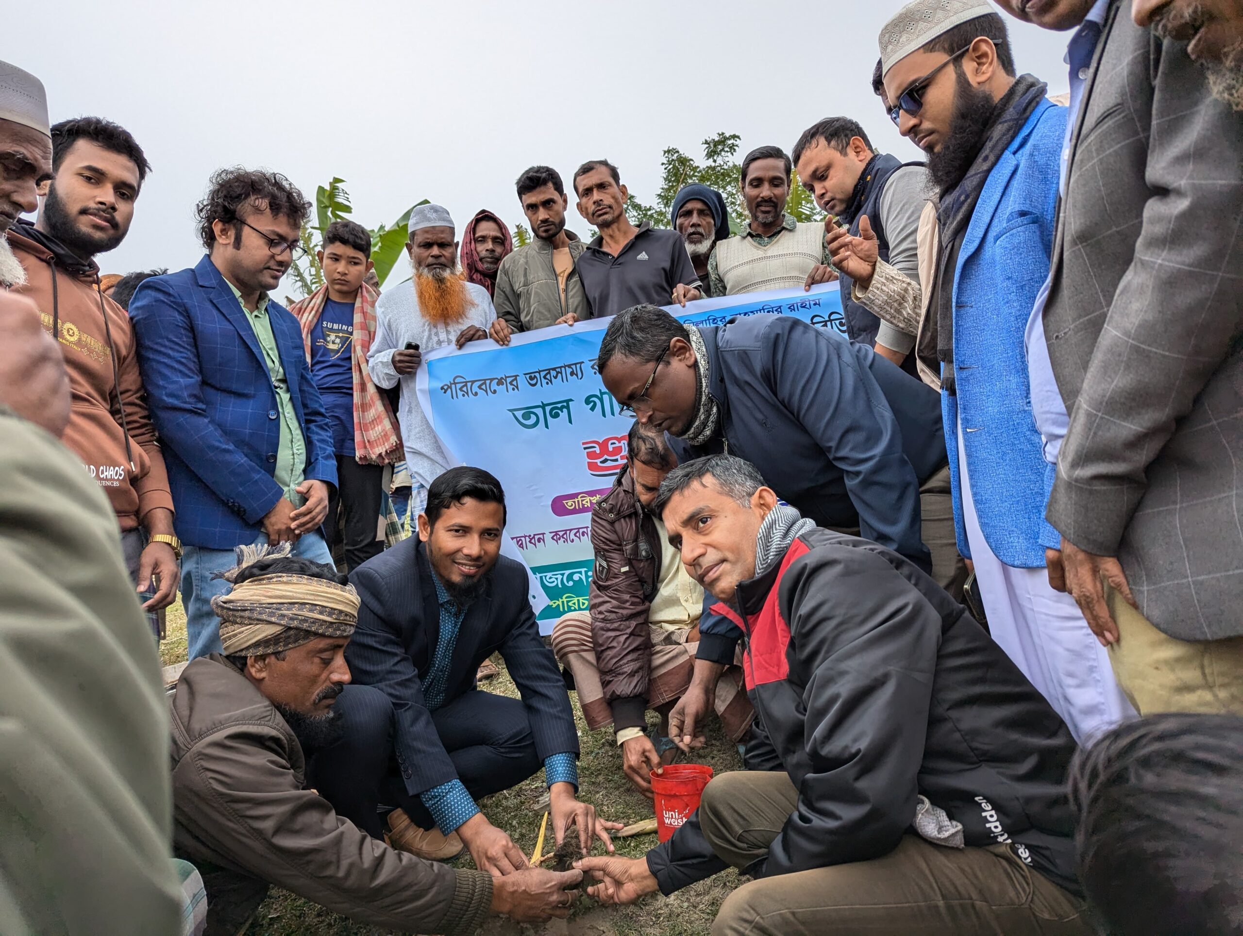 মঠবাড়িয়ায় রাস্তার দুই পাশে তালের চারা রোপন করলেন ইউএনও