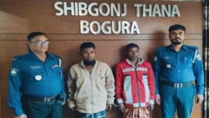 শিবগঞ্জে মরা গরু জবাইয়ের সময় দুই কসাই আটক