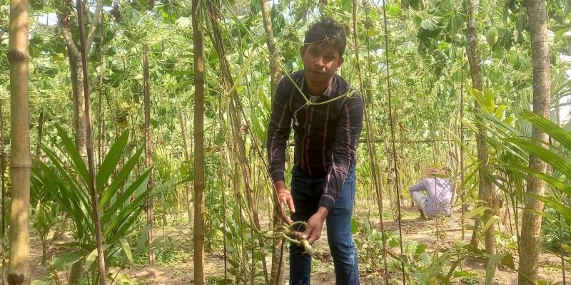 রাতের আঁধারে তিনশত   লাউ গাছ কেটে ফেলার অভিযোগ 