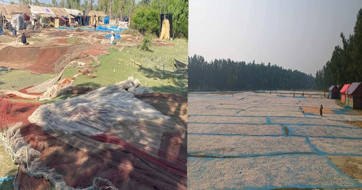 নিষিদ্ধ বেহুন্দি জালে পোনা নিধন, ম্যানেজ হয় মৎস্য অফিস-নৌ পুলিশ-কোস্টগার্ড