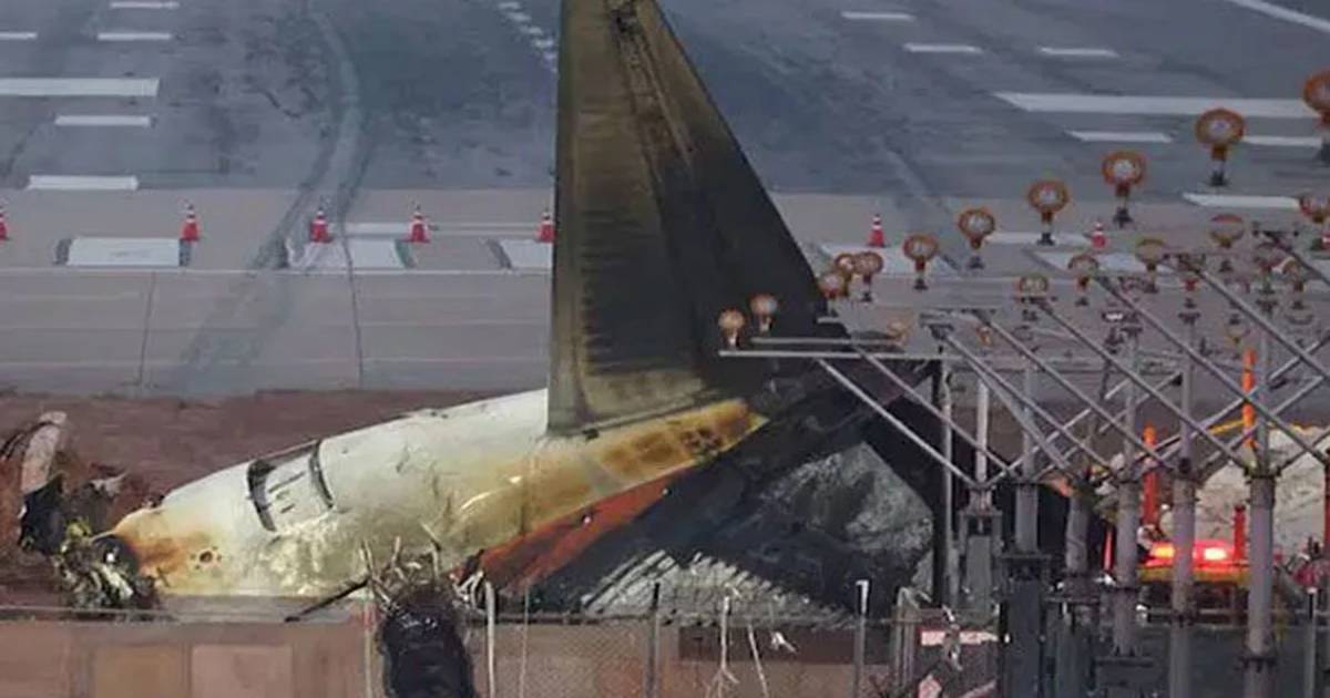 দ. কোরিয়ার সেই বিধ্বস্ত বিমানের ইঞ্জিনে পাখির পাখা