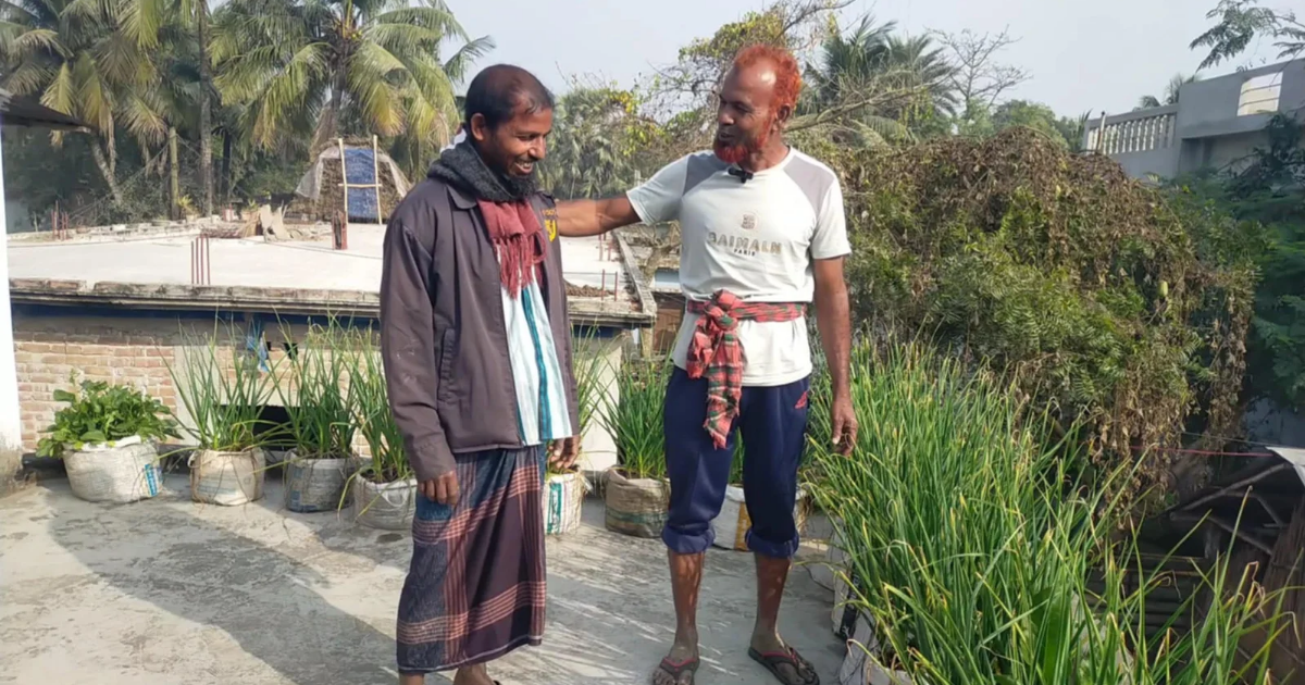 গাংনীতে পরীক্ষামূলকভাবে বস্তায় রসুন চাষ