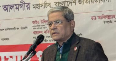 কে নির্বাচিত হলো তা নিয়ে সমস্যা নেই, নির্বাচন হোক: ফখরুল