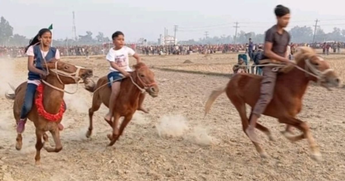 ধামইরহাটে অনুষ্ঠিত হলো ঘোড় দৌড় প্রতিযোগিতা