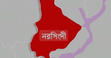 বেলাবতে বড় ভাইয়ের কোপে ছোট ভাই নিহত