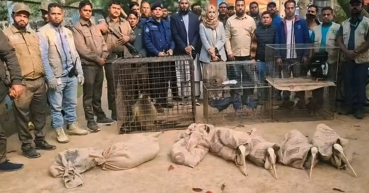 দিনাজপুরের সাবেক এমপি শিবলী সাদিকের “স্বপ্নপুরী পার্ক” থেকে ৭৪টি বন্যপ্রাণী জব্দ
