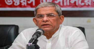 সরকারে যত বড় লোক থাকুক, পেছনে জনগণ নেই: মির্জা ফখরুল