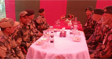 বিজিবির বাধায় সীমান্ত থেকে সিসি ক্যামেরা সরাচ্ছে ভারতীয় বিএসএফ