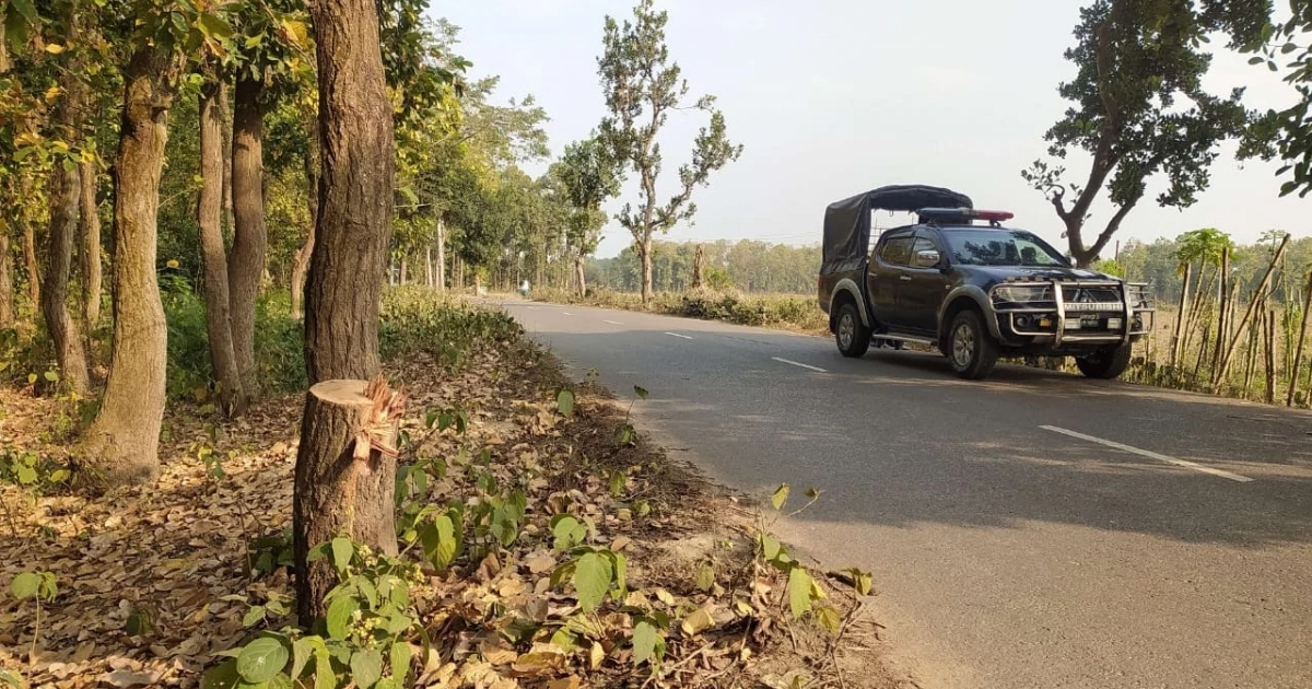 ঘাটাইলে সড়কে গাছ ফেলে শিক্ষা সফরের বাসে ডাকাতি