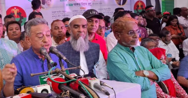 একটি গোষ্ঠী আন্দোলনকে ‘হাইজ্যাক’ করে ক্ষমতায় বসেছে : আমীর খসরু