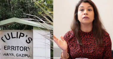 ‘যুক্তরাজ্যে জব্দ করা হবে টিউলিপের সব অবৈধ সম্পদ’