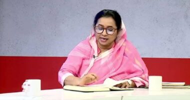 এখন যদি বিএনপি একটা ধাওয়া দেয়; অনেকের অস্তিত্ব থাকবে না: নিলোফার চৌধুরী মনি