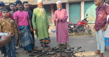 হাত দিয়ে টান দিলেই উঠে যাচ্ছে নতুন পাঁকা সড়কের কার্পেটিং