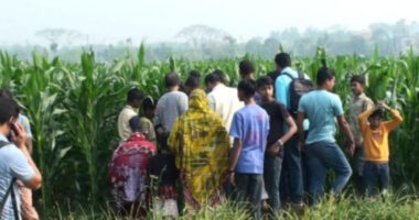 নাটোরে ভূট্টা ক্ষেতে মিললো অজ্ঞাত যুবকের মৃতদেহ