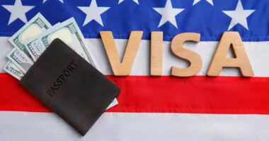 ভারতের বিরুদ্ধে যুক্তরাষ্ট্রের কড়া পদক্ষেপ, গণহারে ভিসার আবেদন বাতিল