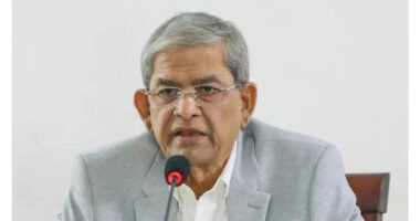 সকল ষড়যন্ত্র ব্যর্থ করে জনগণের সরকার প্রতিষ্ঠা করবো : মির্জা ফখরুল
