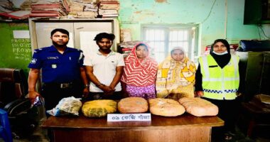 ৯ কেজি গাঁজাসহ সিংগাইরে তিন মাদক কারবারী গ্রেফতার