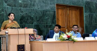 ভর্তুকিমূল্যে সরবরাহ করা হবে পাটের তৈরি ব্যাগ : পরিবেশ উপদেষ্টা