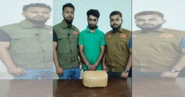 মুন্সিগঞ্জে ডিবি পুলিশের অভিযানে চার কেজি গাঁজাসহ যুবক গ্রেফতার