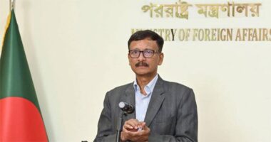 রোহিঙ্গা প্রত্যাবাসনে আরাকান আর্মি বড় সমস্যা : পররাষ্ট্র উপদেষ্টা