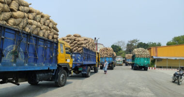 বাংলাবান্ধা স্থলবন্দর দিয়ে নেপালে ২৫২ মেট্রিক টন আলু রফতানি