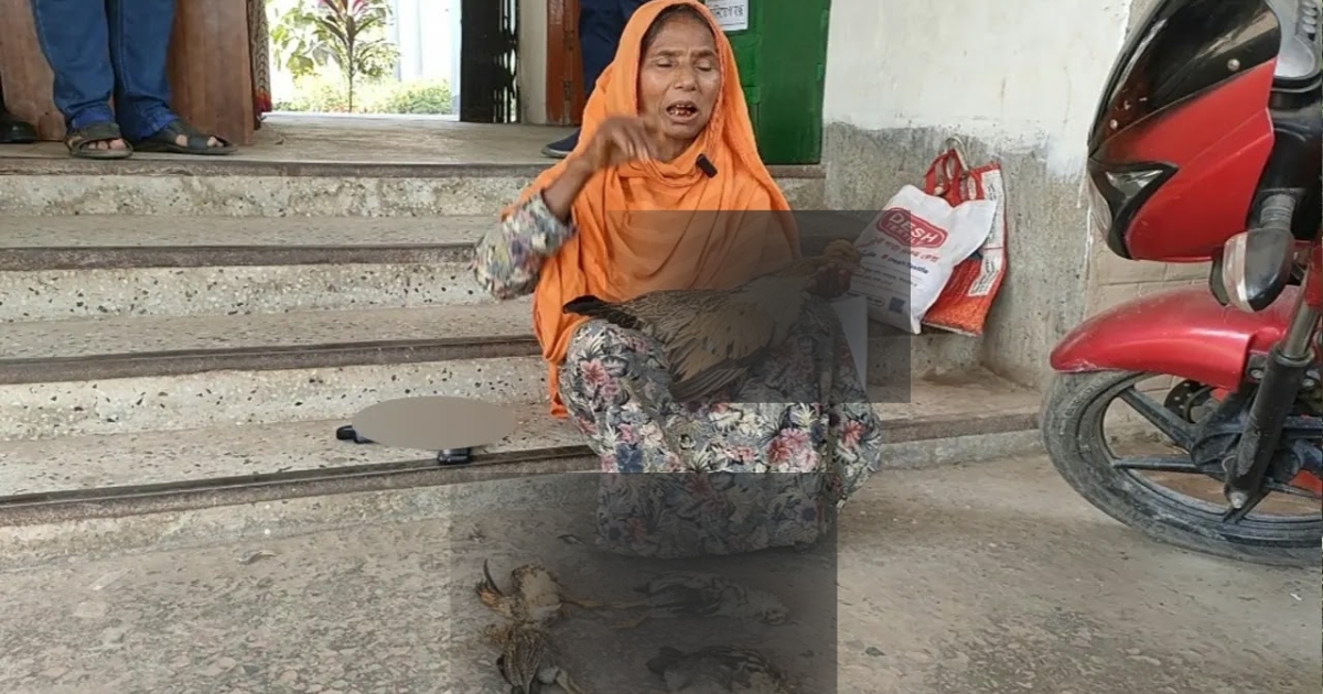 মৃত মুরগি নিয়ে থানায় অভিযোগ, রশিদা বেগমের আর্ত আবেদন
