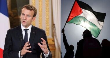 ফিলিস্তিনকে স্বাধীন রাষ্ট্রের স্বীকৃতি দেবে ফ্রান্স : প্রেসিডেন্ট ম্যাখোঁ