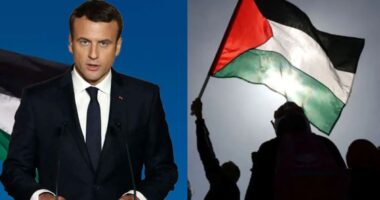 জুনেই ফিলিস্তিনকে স্বাধীন রাষ্ট্রের স্বীকৃতি দেবে ফ্রান্স : প্রেসিডেন্ট ম্যাখোঁ