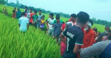 দুর্গাপুরে মানসিক ভারসাম্যহীন বৃদ্ধার মরদেহ মিলল ধানক্ষেতে