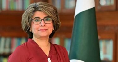 আজ ঢাকায় আসছেন পাকিস্তানের পররাষ্ট্রসচিব