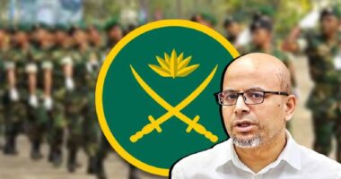 সেনাবাহিনী রাজনীতিতে নাক গলাতে পারবে না: প্রধান উপদেষ্টার বিশেষ সহকারী