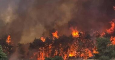 ইসরাইলে আবার আগুন, এবার জ্বলছে দখলকৃত আশদোদ শহর