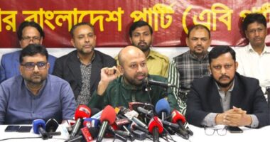 বিএনপি ছাড়া ক্ষমতায় আসার মতো আর কোন দল নাই দেশে : ফুয়াদ