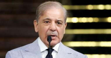 ‘আমরা ফজরের নামাজের পর হামলার প্রস্তুতি নিয়েছিলাম, কিন্তু...