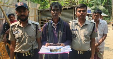 গাংনীতে গাঁজা সেবীর এক মাসের কারাদন্ড