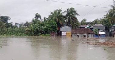 টানা বর্ষণে গলাচিপার নিম্নাঞ্চল প্লাবিত, ব্যাপক ক্ষয়ক্ষতি