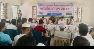 নান্দাইলে পাটচাষী প্রশিক্ষনের নামে সরকারী টাকা লুটপাট