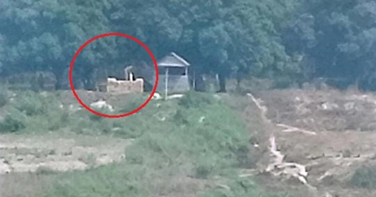 চাঁপাইনবাবগঞ্জের ভোলাহাট সীমান্তে বিএসএফের বাঙ্কার নির্মাণ! আতঙ্কে বাসিন্দারা