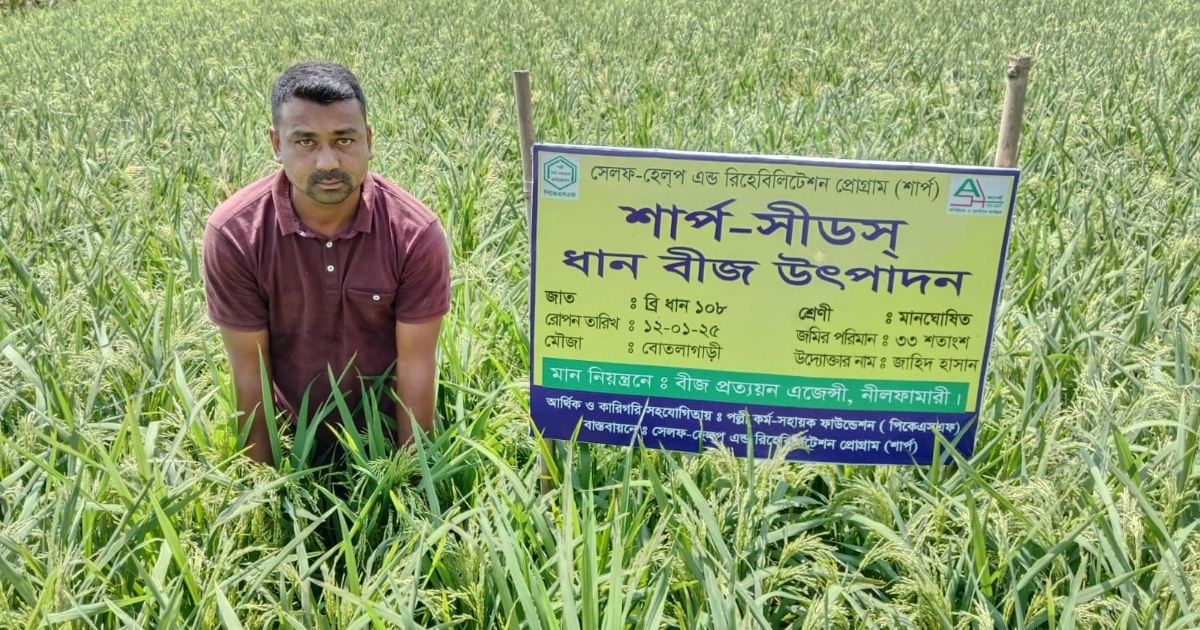 নতুন ধানের বীজ উৎপাদনে আগ্রহী কৃষক