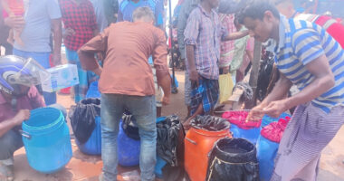 পিরোজপুরে ২০ লাখ টাকার রেনু পোনা জব্দ, ব্যবসায়ীর কারাদণ্ড