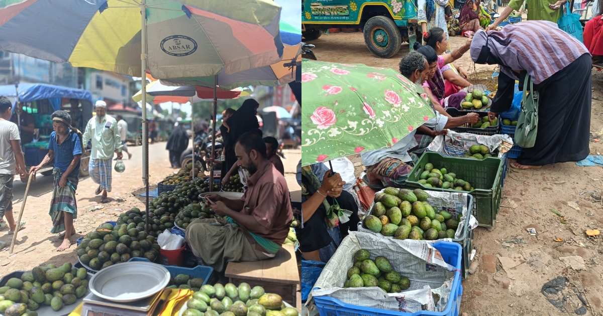 দীঘিনালায় আমের বাজারে স্বস্তির হাওয়া