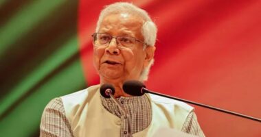 পাটের হারানো গৌরব পুনরুদ্ধারের আহ্বান প্রধান উপদেষ্টার